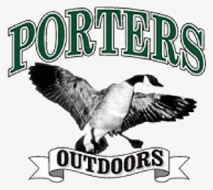 Illinois - Goose #1598079