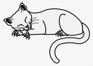 Details, Png - Kitten #1598323