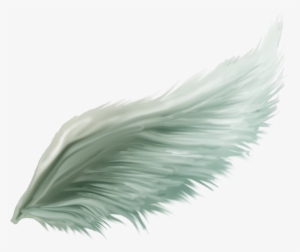 Christmas Tree #1598570 Christmas Tree #1598570