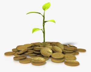 A Plant Growing From A Pile Of Gold Coins - Financial Prosperity Png #1598643