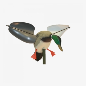 Popular Where Motorized Decoys Are Not Allowed - Duck Mojo #1598733