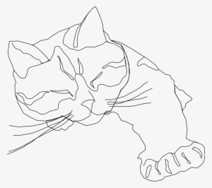 How To Set Use Sleepy Calico Cat Icon Png #1598821