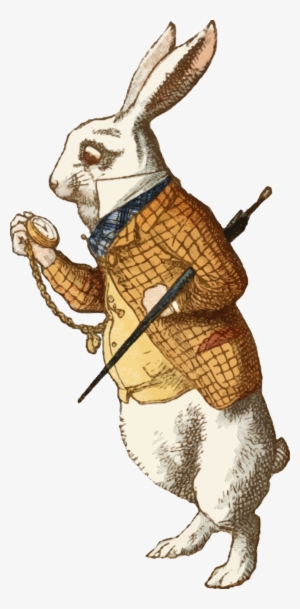 Jpg Black And White Clipart The White Isolated Colour - Alice In Wonderland Rabbit Illustration #1599471