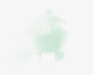 Temperamental And Multi-facetted - Fir #160163