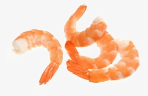 Shrimp Png Image - Shrimp #160234
