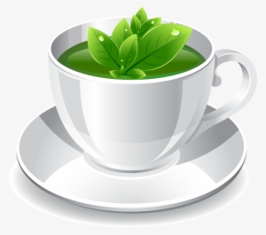 Green Tea Png Photo - Green Tea Cup Png #160548