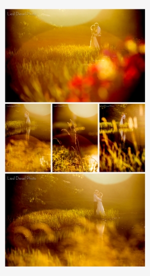 4 Sunset Sun Flare Evening Portrait Photo Bride Groom #160771