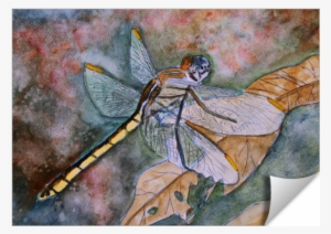 Dragonfly - Artist #161076