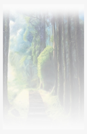 Jennifer Oberhammer Is A Toronto Based Artist With - Painting #161616