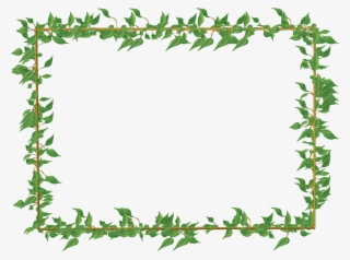 Green Floral Border Png Picture - Ivy Frame #161982