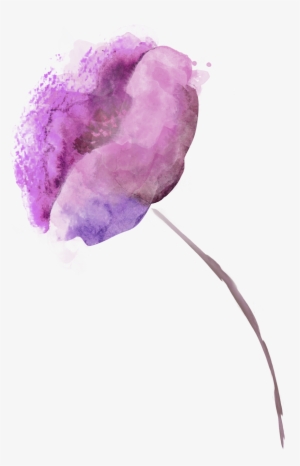 Vegetaux Aquarelle Fleur Coquelicot Violet - Watercolor Paint #162664