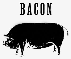 Bacon #163268