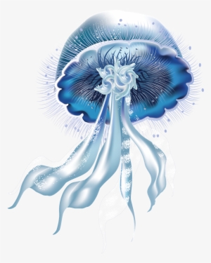 Jellyfish Png Picture - Jellyfish #163272