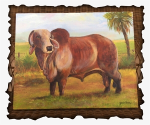 Brahman Bull By Jerri Phillips On Exhibit At The Manatee - Michael Godard #163366