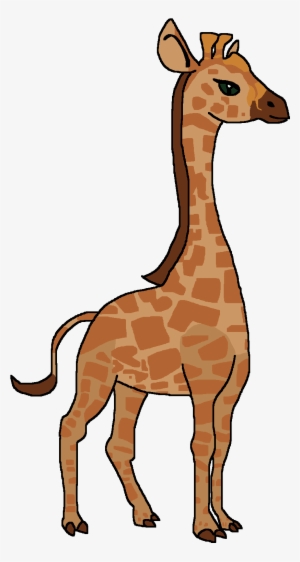 Nigerian Giraffe - Wiki #163630
