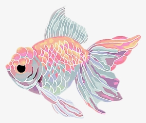 Goldfish Clipart Kawaii - Aesthetic Fish Png #163652