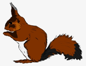 How To Set Use Squirrel Clipart #163655
