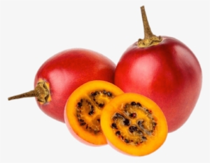 Tamarillo Tree Tomato Png - Red Tamarillo #163841
