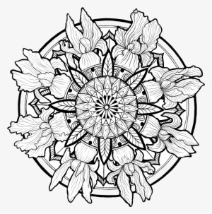 Line Illustrations, Mandalas, Nature - Line Work Mandala #164021