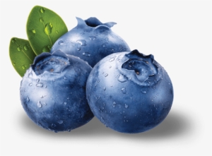 Blueberries Png Images Free Download - Blueberries Png #164170