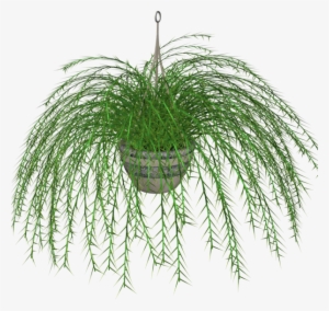 Hanging Fern Stock Plant By Madetobeunique On Deviantart - Clip Art #164224