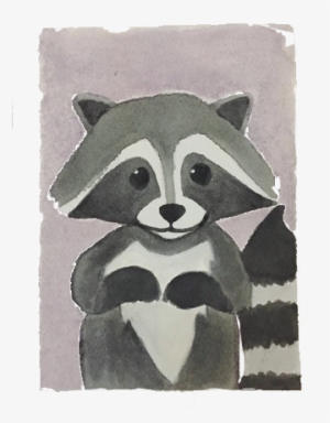 Rocky Raccoon - Procyon #164243