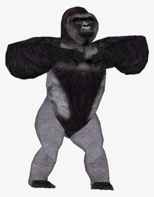 Posted Image - Harambe With No Background - Free Transparent PNG ...