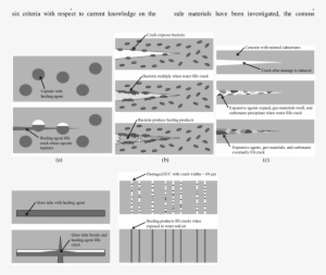 Mineral Admixtures Self Healing Approach, (d) Glass - Bacteria Based Self Healing Concrete #164385