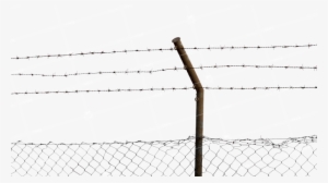 Barbed Wire Fence - Fence #164649 Barbed Wire Fence - Fence #164649