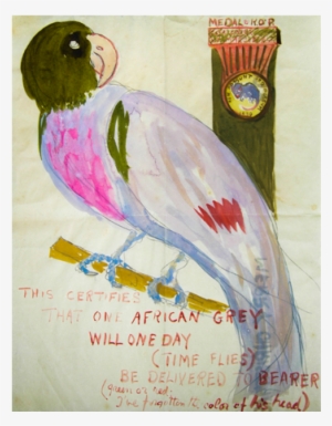 African Grey #164752