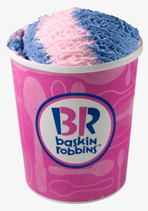 Baskin Robbins Ice Cream Bavarian Chocolate #164829