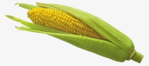 Corn Png Picture Glass Gem Corn, Psp, Clip Art, Art #164854