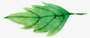 Watercolor Painting #165438