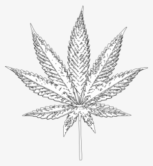 Drawn Weed Indica Leaf - Cannabis #165495