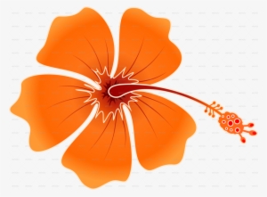 Hibiskis Png Clipart Shoeblackplant Roselle - Orange Hawaiian Flower Png #165656