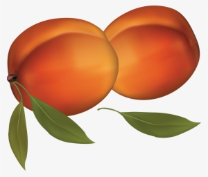 Peach Clipart #165982