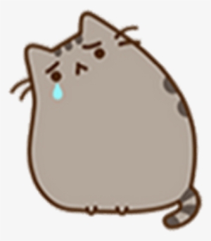 Crying cat whatsapp sticker