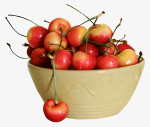 Free Png Rainier Cherry Png Images Transparent - Rainier Cherry #166581 Free Png Rainier Cherry Png Images Transparent - Rainier Cherry #166581
