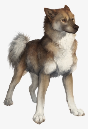 Wolf Drawings, Art Drawings, Animal Sketches, Art Sketches, - Wolf #168069