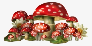 Throughmyeyes - Toadstools Png #168117
