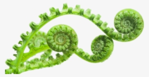 Nature - Matter Over Mind: Cosmos, Chaos, And Curiosity #168549