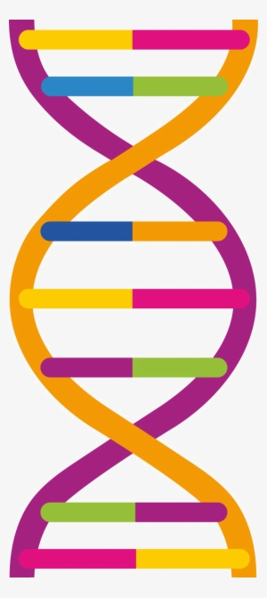 Dna Png Pic - Dna Png #168883