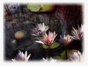 Poor Lost Souls Have Tried To Conquer Chron Riddles - Sacred Lotus #169132