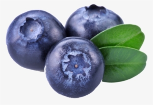 Blueberries Png - Bilberry Png #169310