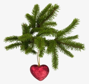 Christmas High Quality Png - Pine Christmas Png #169554