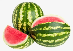 Watermelon #169599