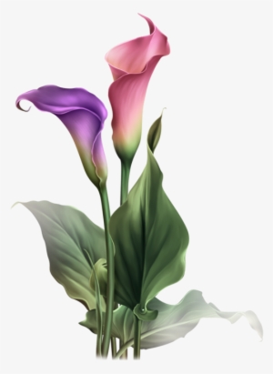 135507760 Elisa Design Kiki 122 003 Resultaat - Flower #169712