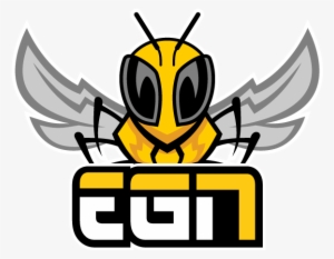 Esports #1600056