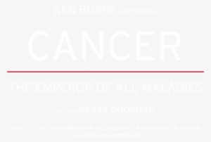 Share - Line Gray Png #1600655