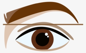 Eyebrow Vector - Eyebrows And Eyelashes Drawing - Free Transparent PNG